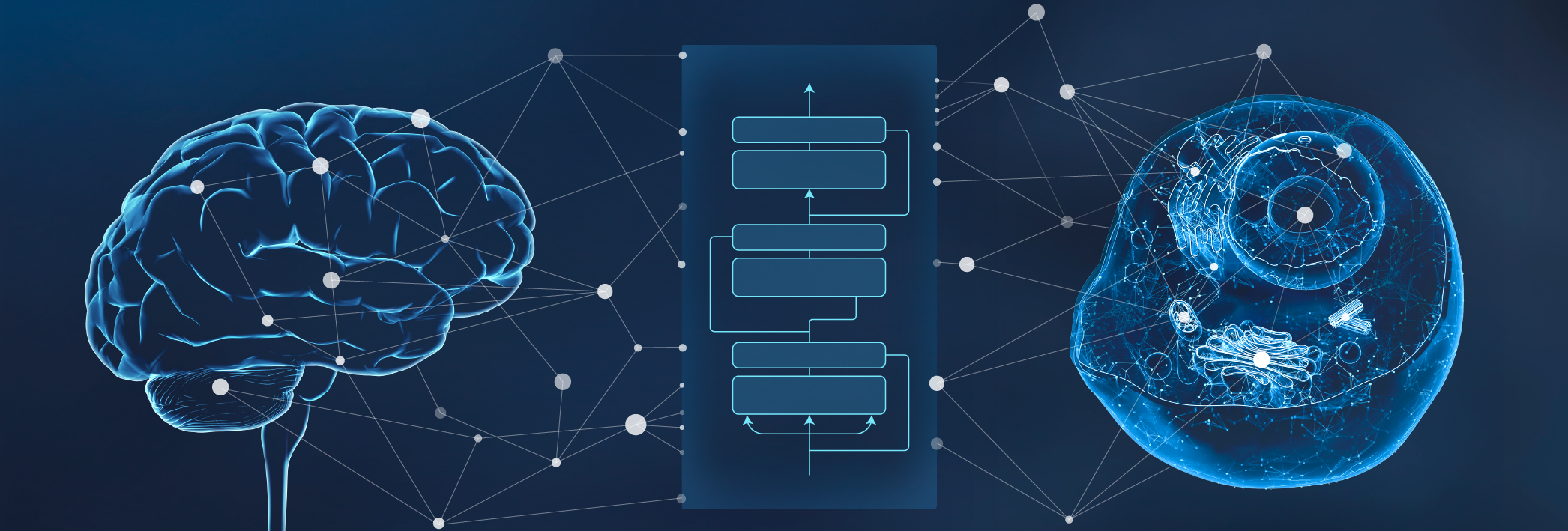 rBio Brain and Cell Illustration